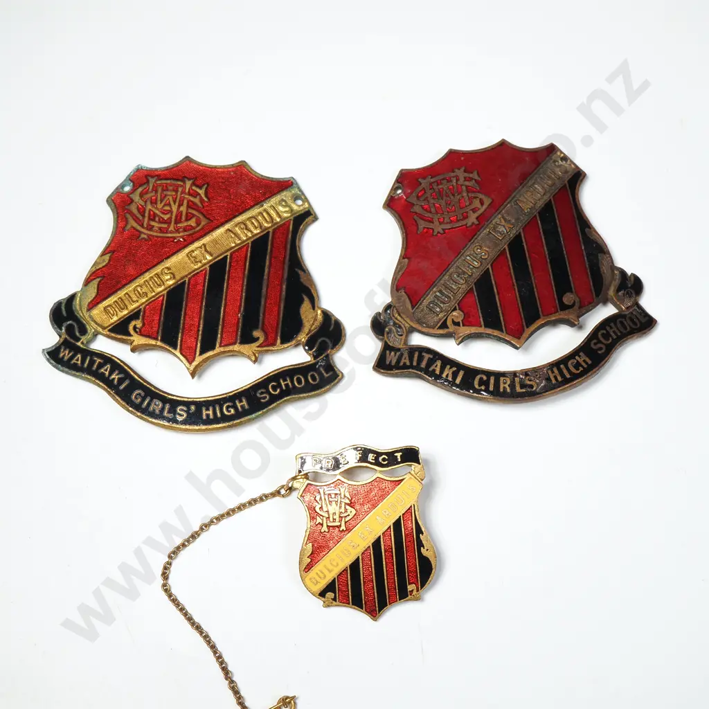 3 X Waitaki Girls High School Vintage Brass And Enamel Badges. Image 1++