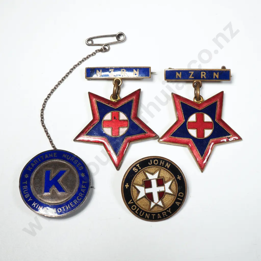 Assorted Lot of Nursing Badges Image 1++