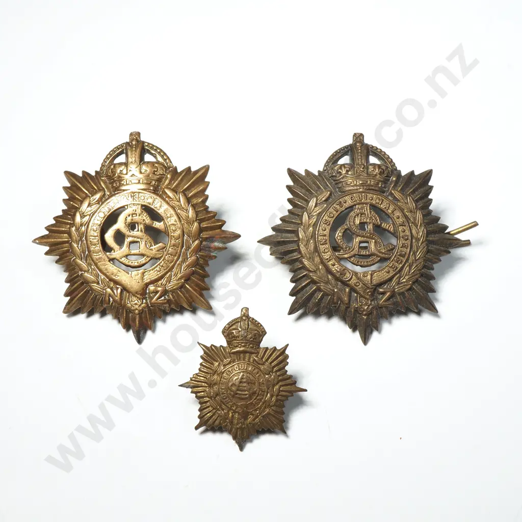 WW1 New Zealand Badges  Image 1++