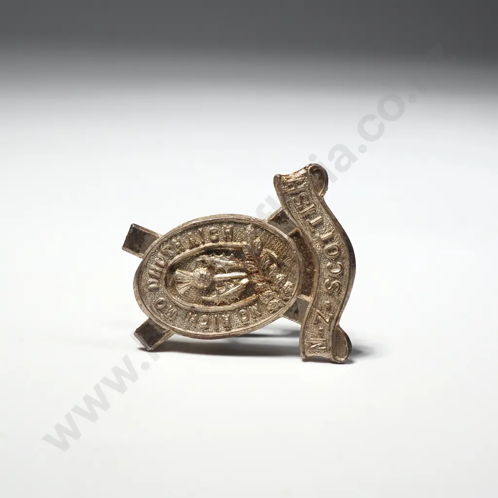 Vintage New Zealand Scottish Society Pin  Image 1++