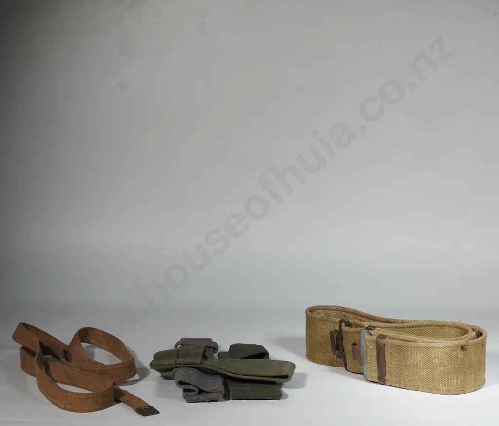 Three Canvas Frogs & Webbing Belt Image 1++