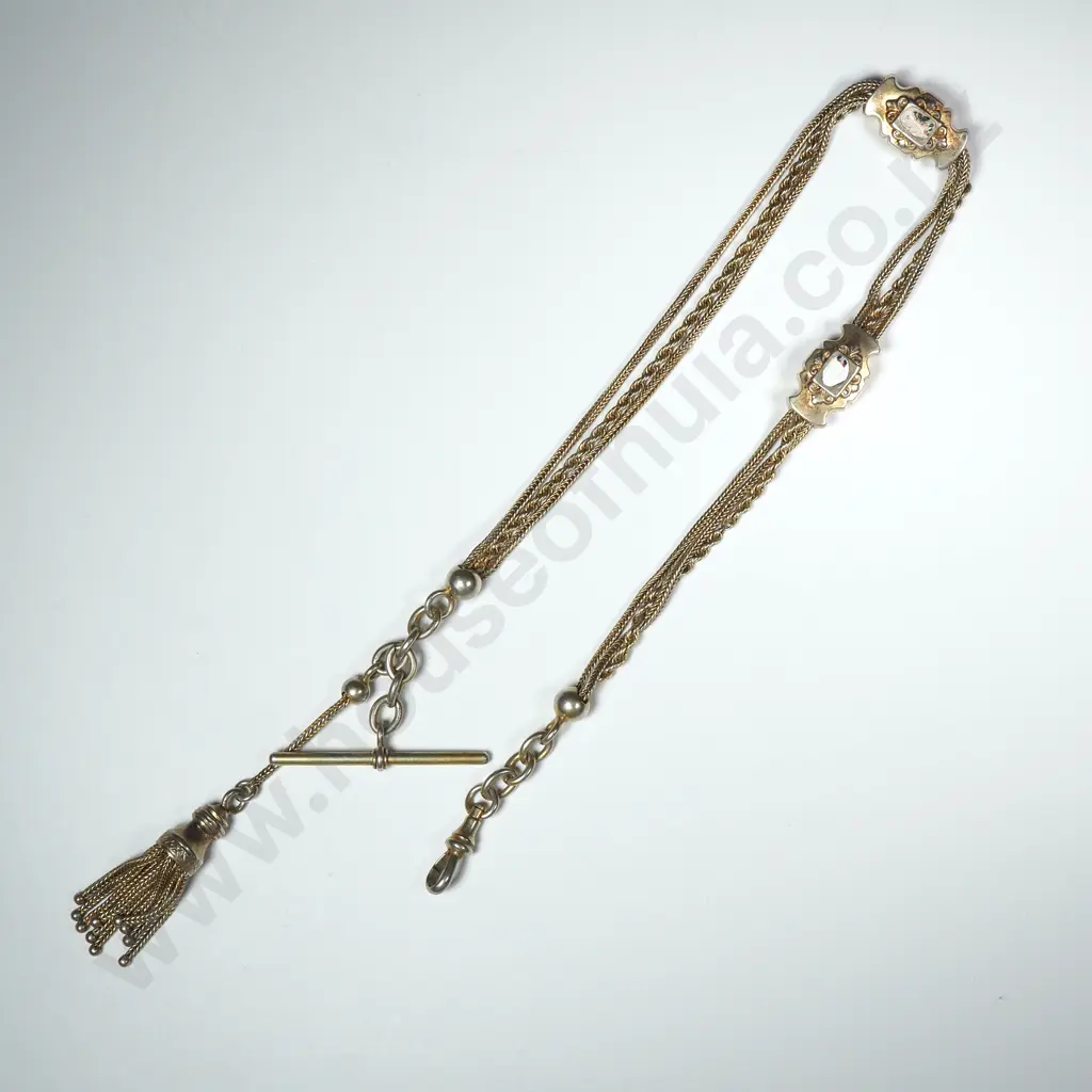 Exquisite Antique SIlver Gilt Ladies Albertina Image 1++