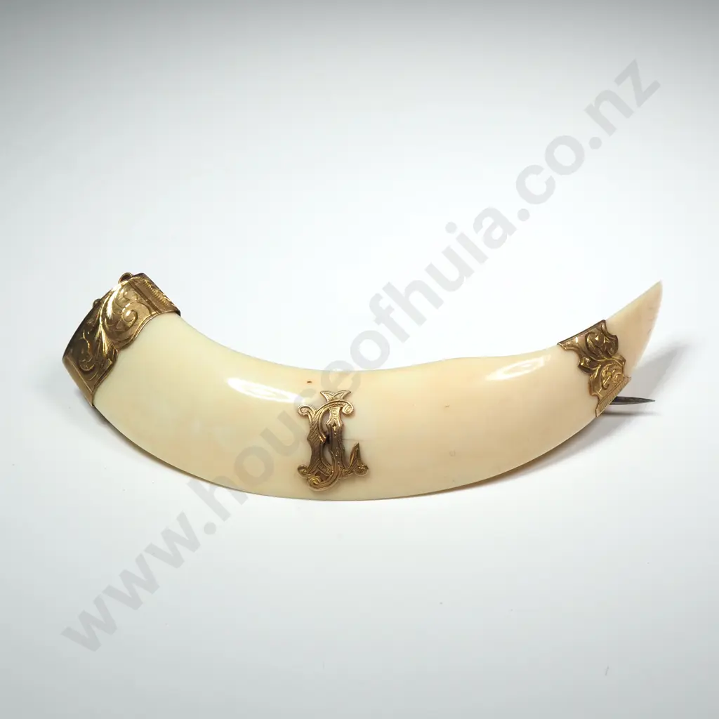 Impressive Colonial 9ct Gold Boars Tusk Brooch Image 1++