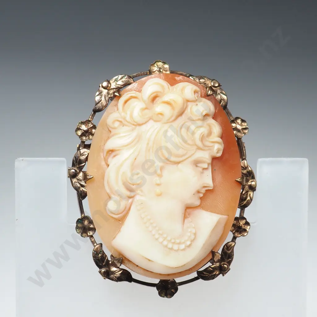 9ct Gold Lined Cameo Brooch Image 1++