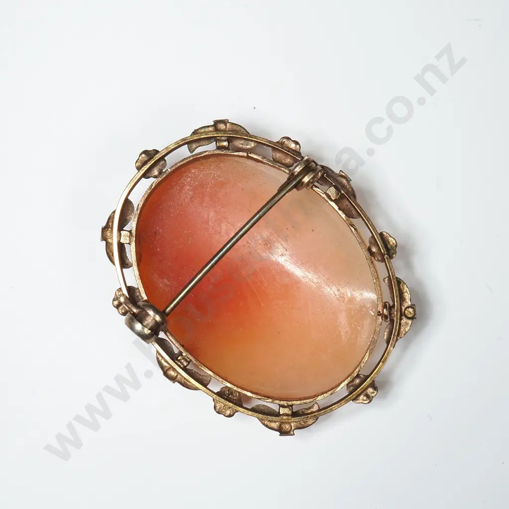 9ct Gold Lined Cameo Brooch Image 1++