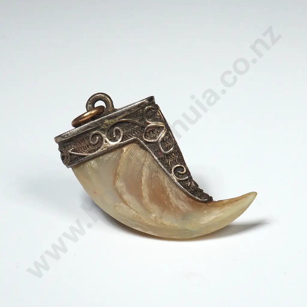 Tiger Claw Pendant in Silver Image 1++