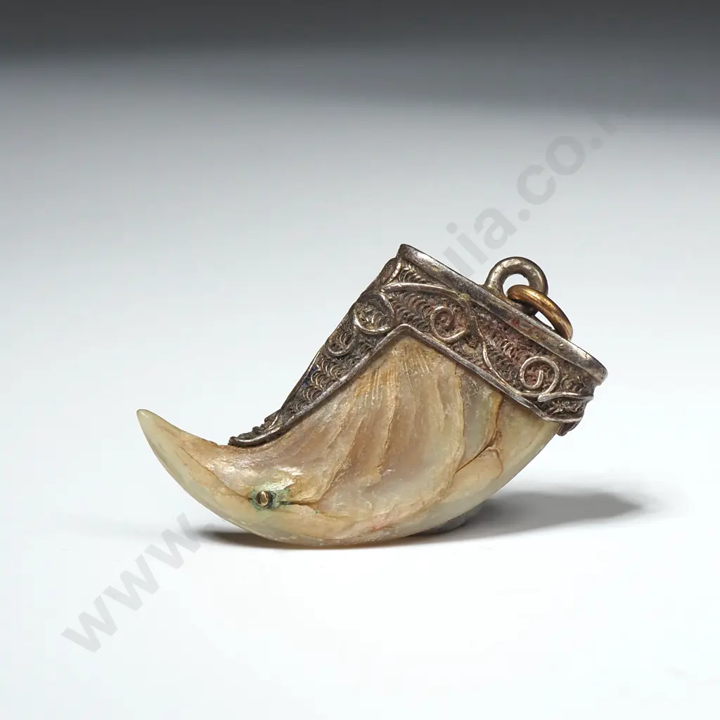 Tiger Claw Pendant in Silver Image 1++