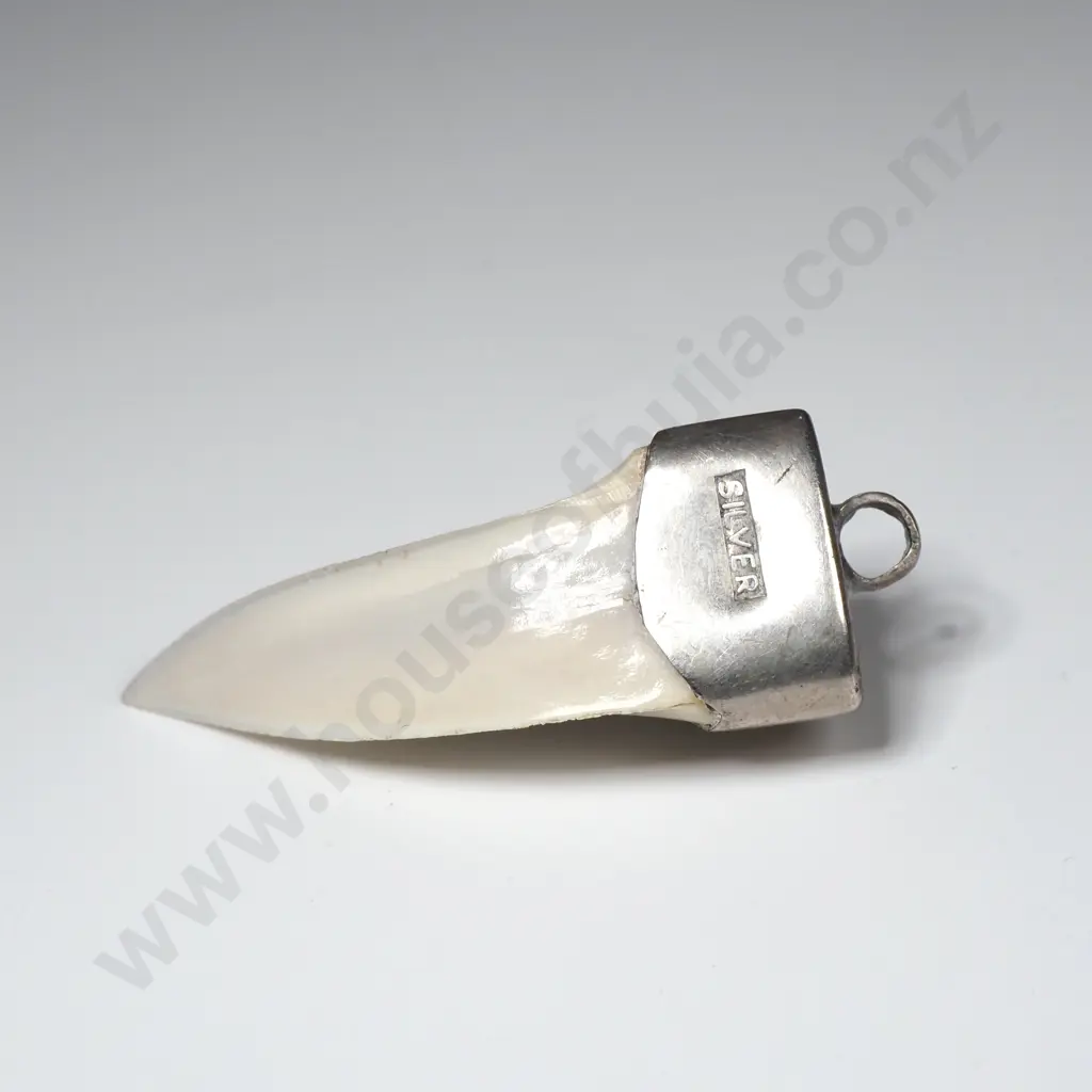 Sterling Silver Mounted Shark Tooth Pendant Image 1++
