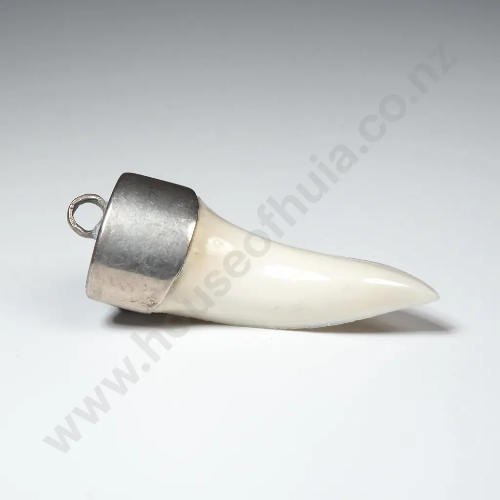 Sterling Silver Mounted Shark Tooth Pendant Image 1++