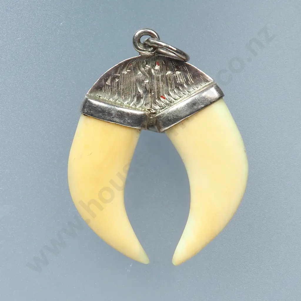 Sterling Silver Capped Bone Pendant Image 1++