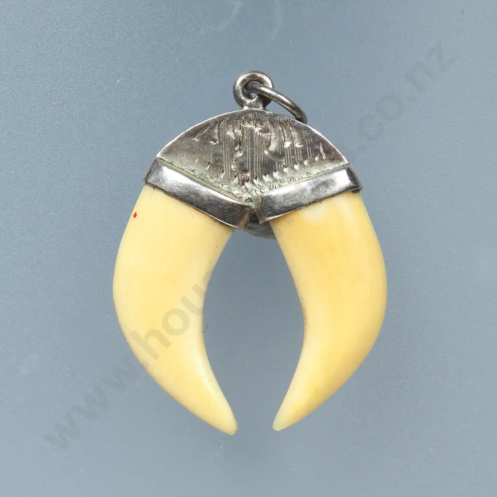 Sterling Silver Capped Bone Pendant Image 1++