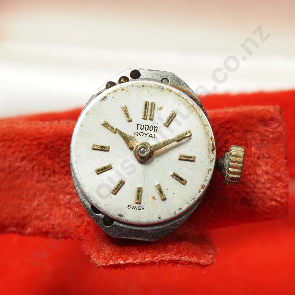 Vintage Tudor Watch Box & Tudor Watch Movement Image 1++