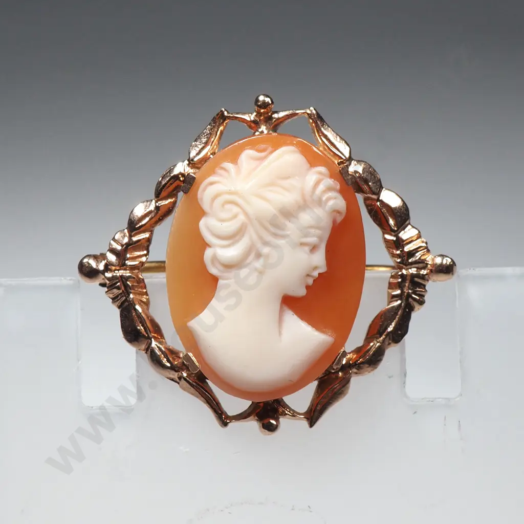 9ct Gold Cameo Brooch Image 1++