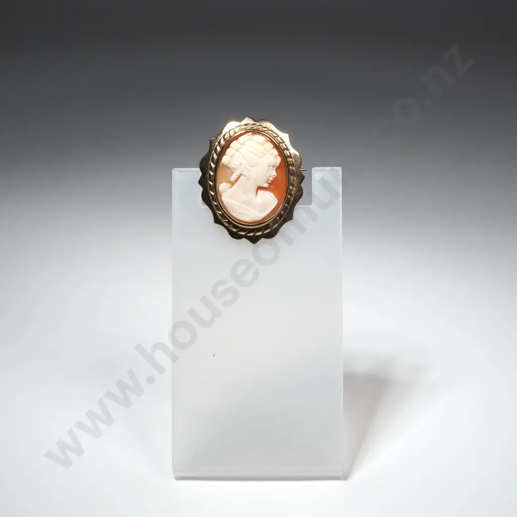 9ct Gold Cameo Brooch Image 1++