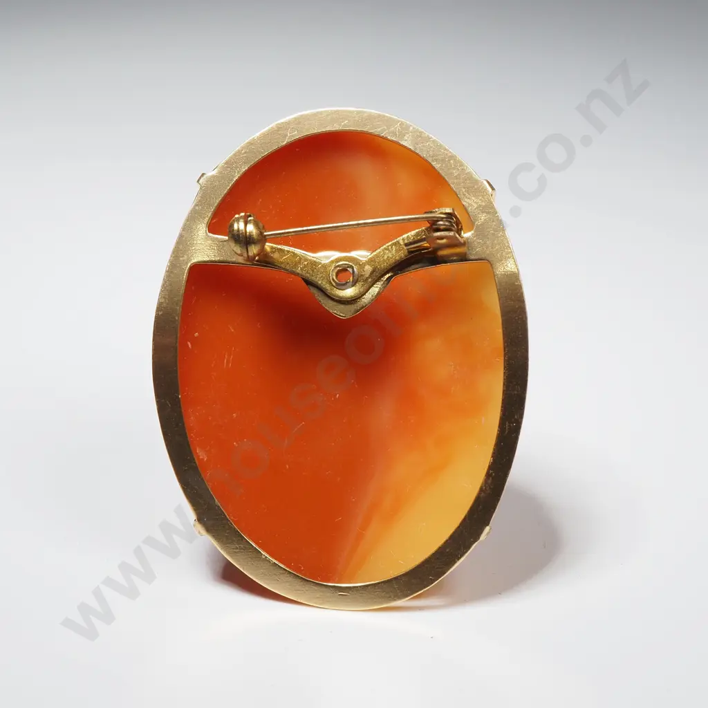 Large Oval Cameo In Gold Tone Frame Image 1++