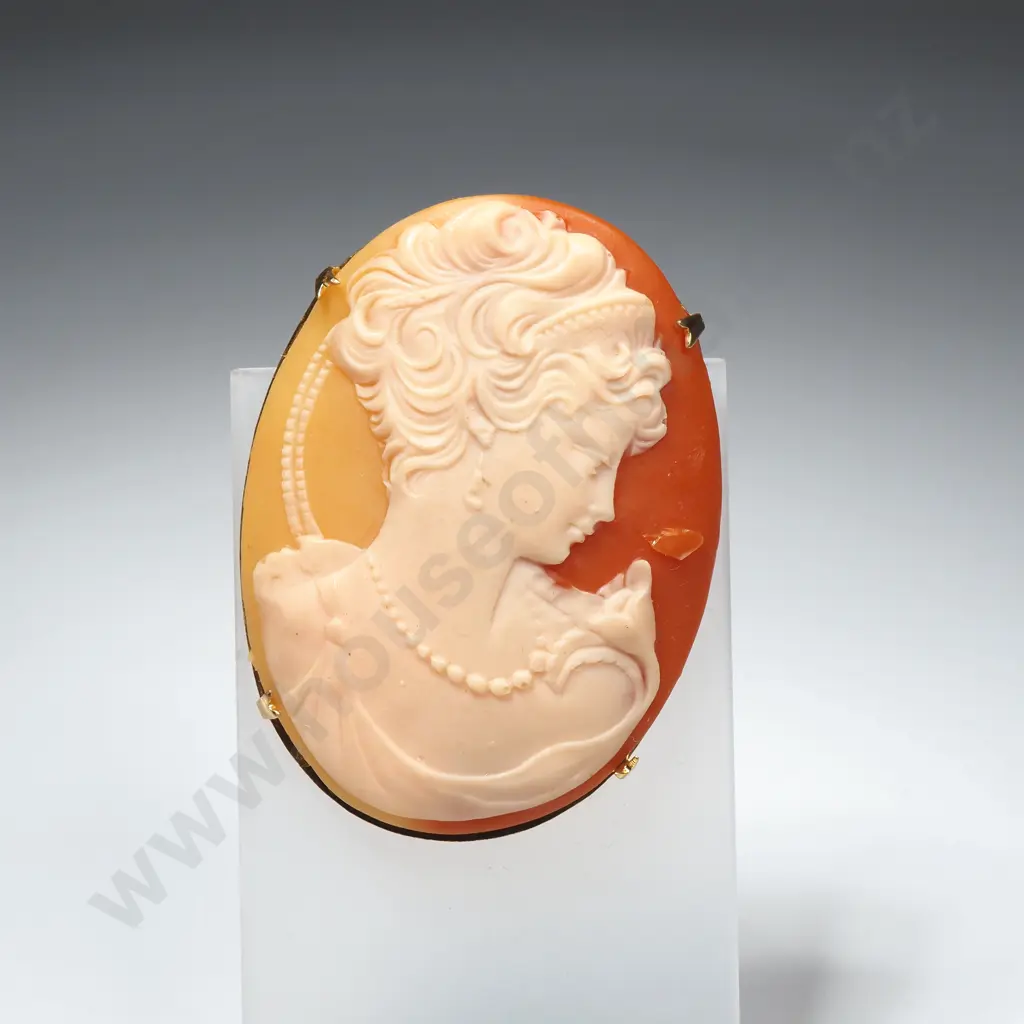 Large Oval Cameo In Gold Tone Frame Image 1++