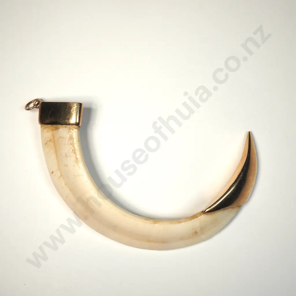 Large 9ct Gold Capped Boer Tusk Pendant Image 1++