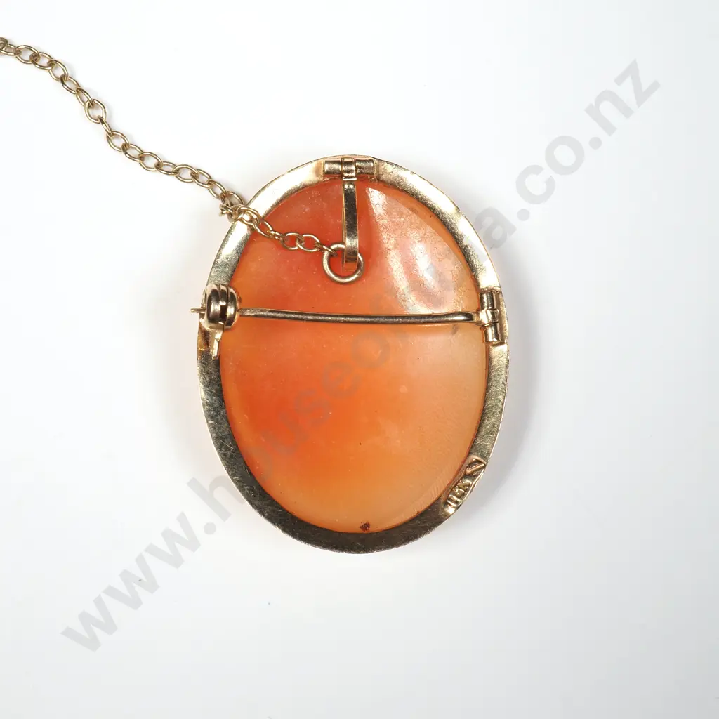 14ct Gold Cameo Brooch Image 1++