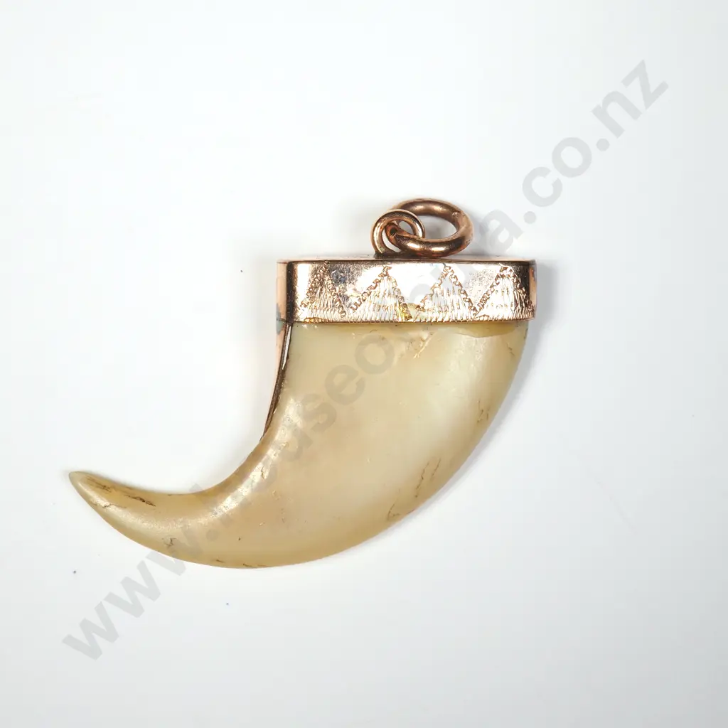 9ct Gold Tiger Claw Pendant Image 1++