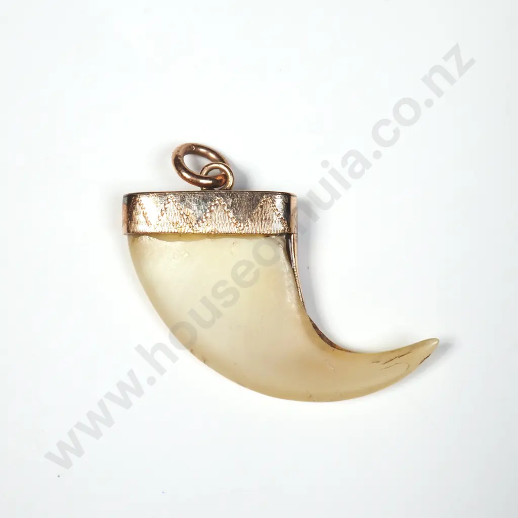 9ct Gold Tiger Claw Pendant Image 1++