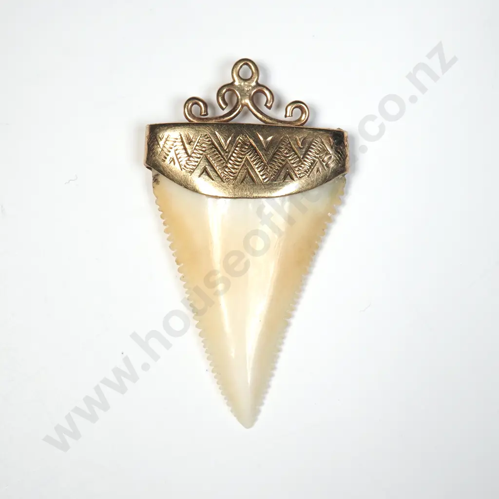 Colonial New Zealand 9ct Gold Shark Tooth Pendant Image 1++