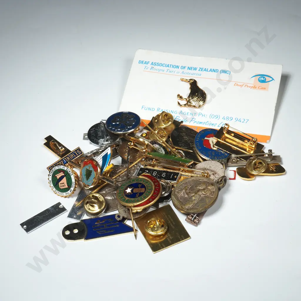 Assorted Lot Of Mainly New Zealand Badges & Buttons Image 1++