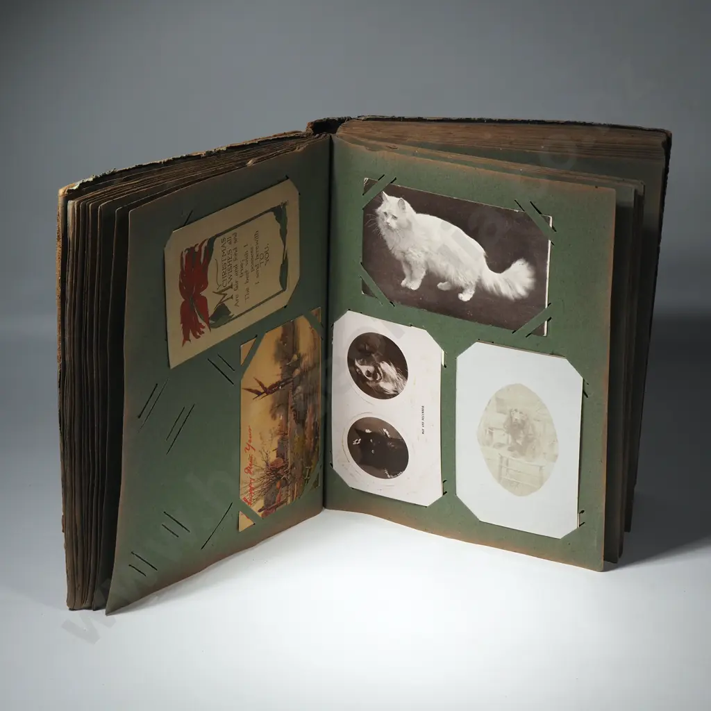 Vintage Album Containing Many Humorous Cards, International Scenery, Animals Image 1++