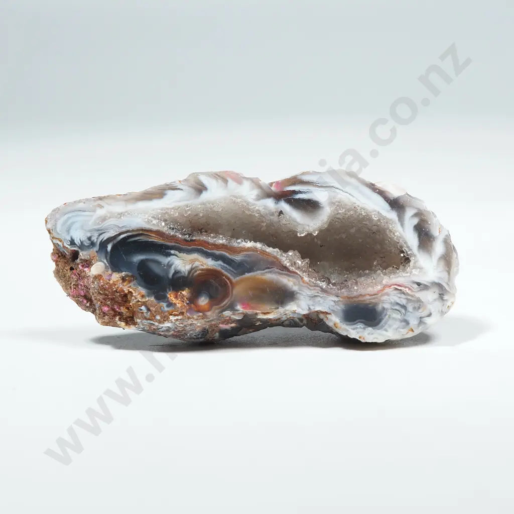Small Fossil Geode (Hollow Centre w Crystals) Image 1++
