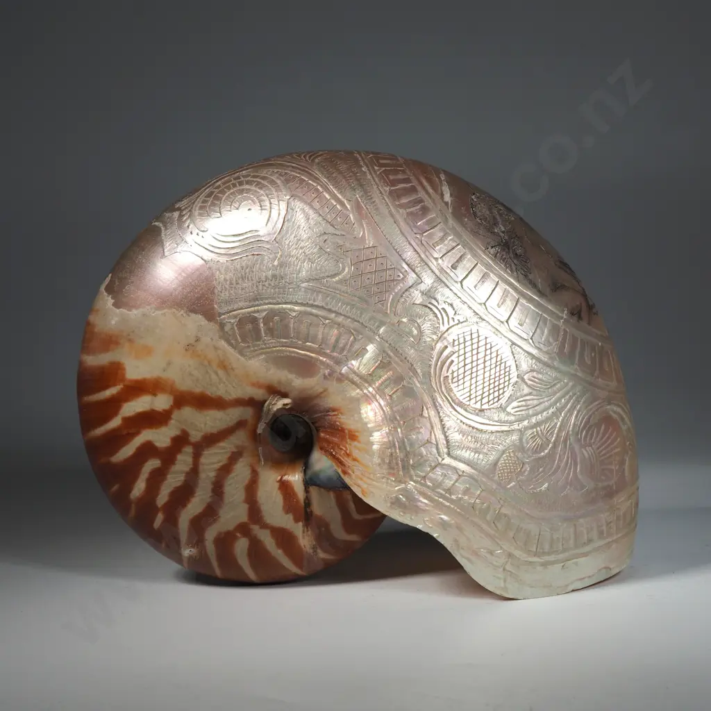 Antique Carved Nauitlus Shell: Carved Bust of Queen Alexander Image 1++