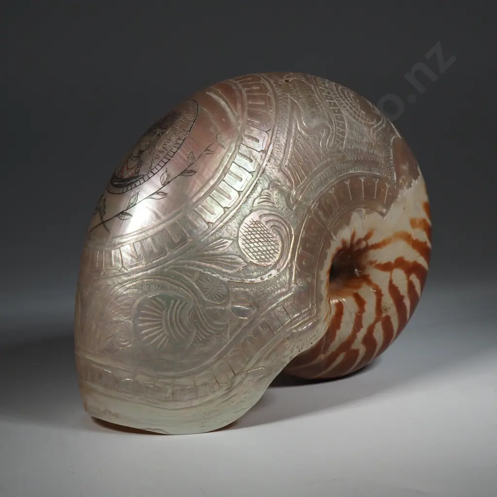 Antique Carved Nauitlus Shell: Carved Bust of Queen Alexander Image 1++