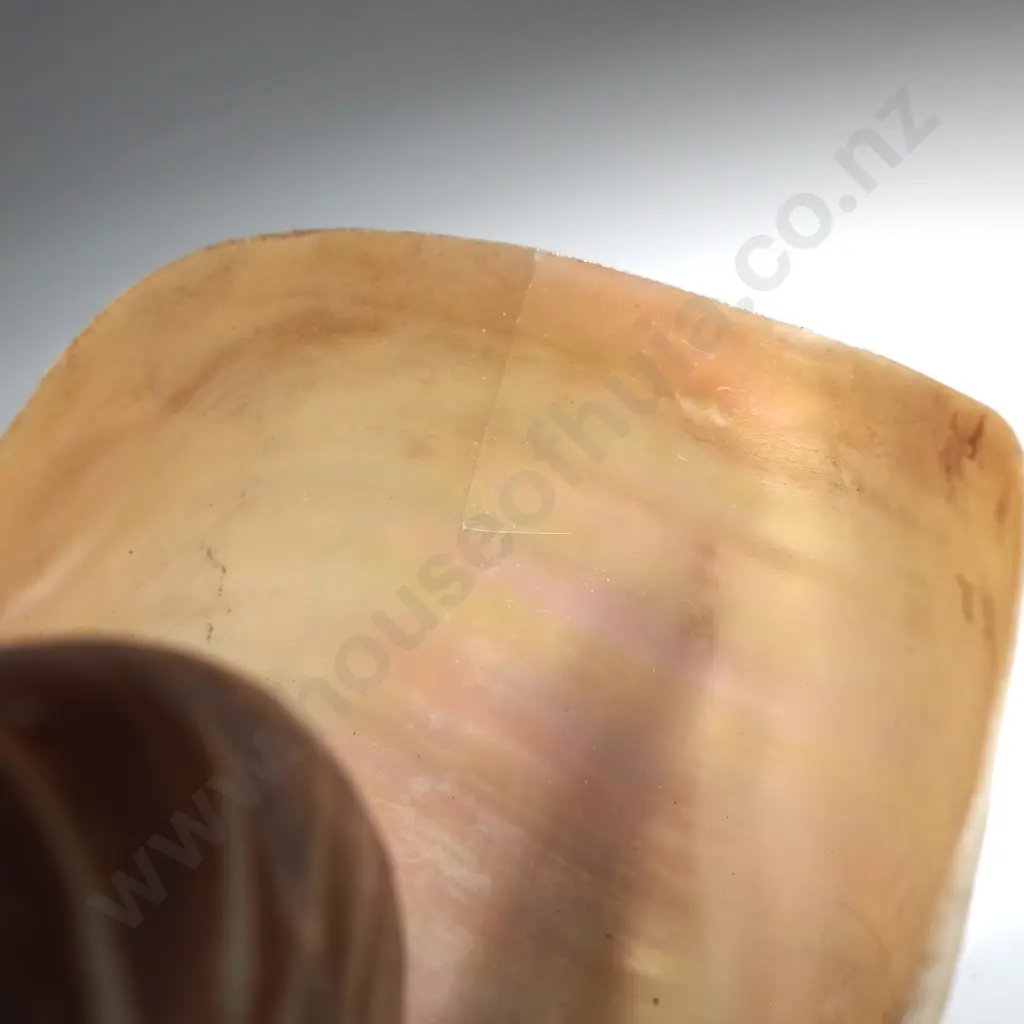 Antique Carved Nauitlus Shell: Carved Bust of Queen Alexander Image 1++