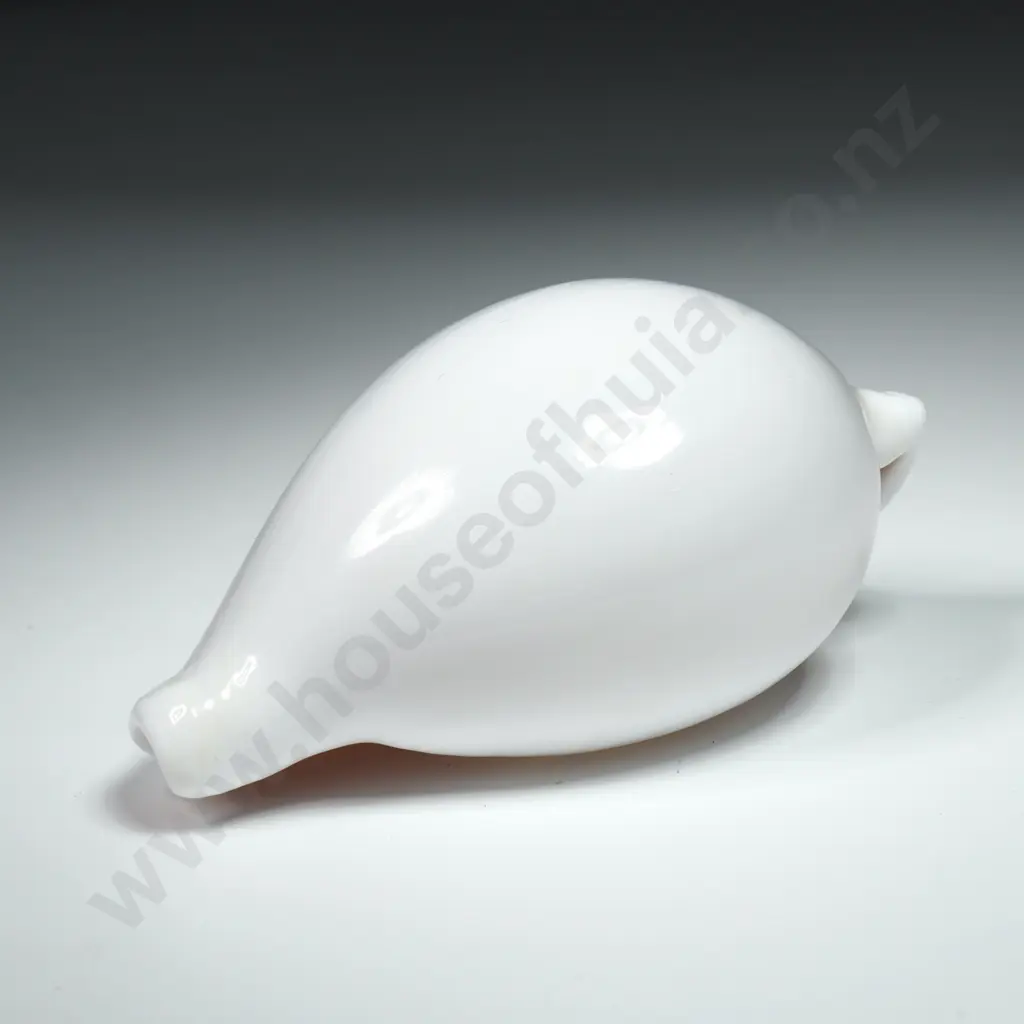 Common Egg Cowrie Seashell - 85mm Image 1++