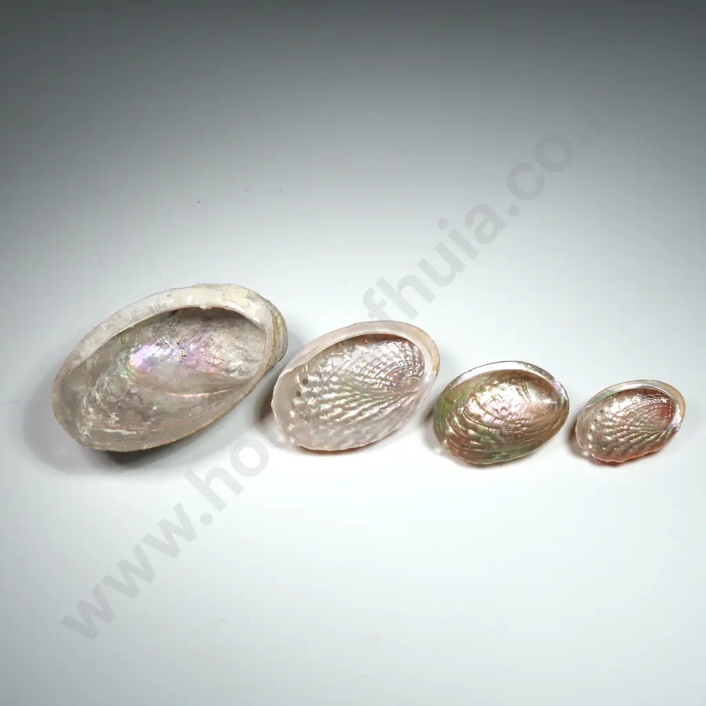 Nested Abalone Shells - Largest 70mm Image 1++