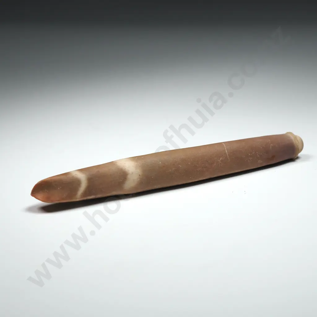 Sea Urchin Spine - 80mm Image 1++