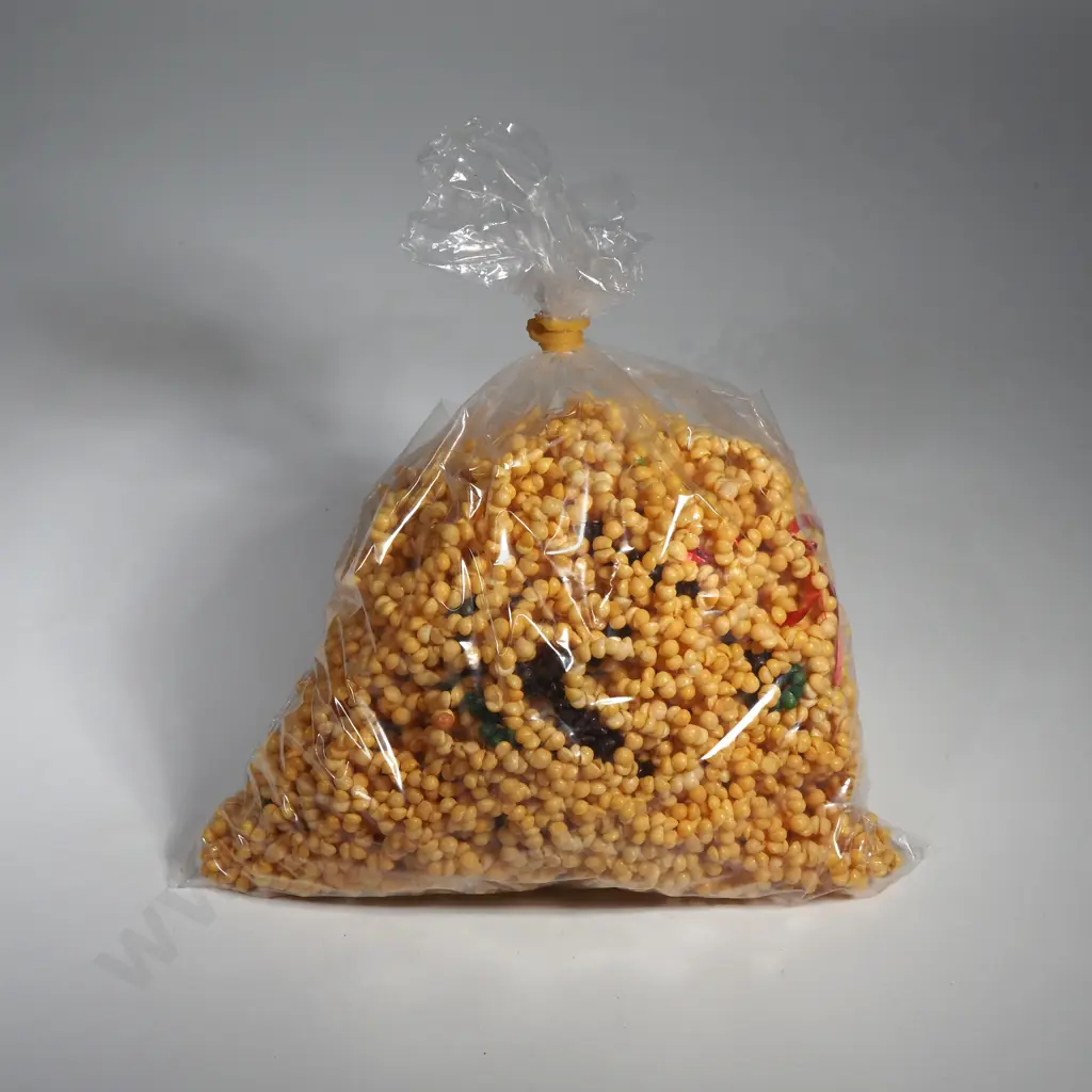 Pupu & Puka Seed Necklaces Image 1++