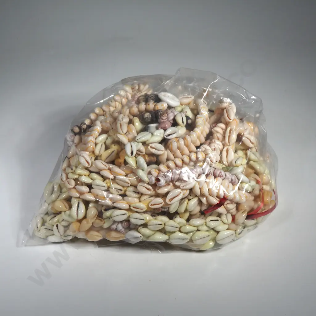 Assorted Seashell Necklaces Image 1++