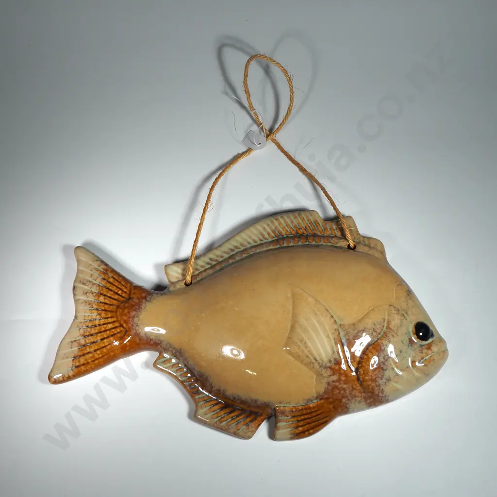 Wall Hung 3D Ceramic Fish Plaque Image 1++