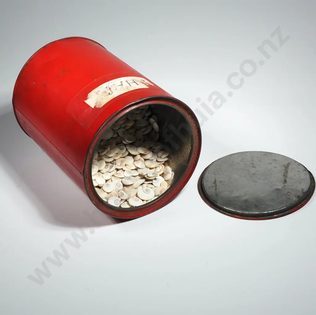 Vintage  Red Tin Containing a Large Quantity of Tiny Shells Image 1++