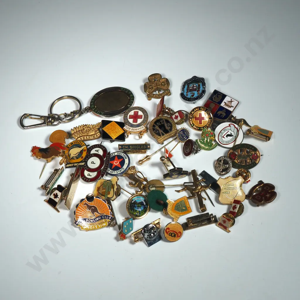 Assorted Lot Of Mainly New Zealand Badges & Buttons Image 1++