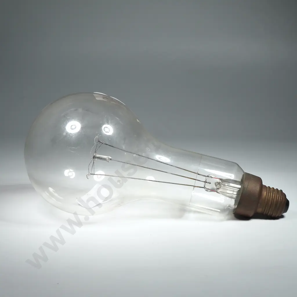 Large Edison Screw Lightbulb Image 1++