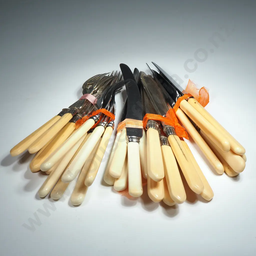 Assorted Lot of Bone Handles Knives & Forks Image 1++