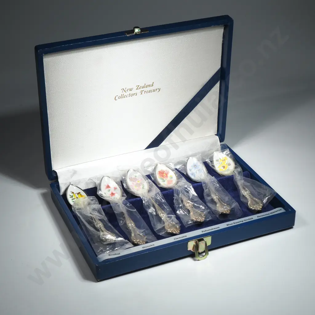 NZ Collectors Treasury Silver Plated Teaspoons w Decorative Enamelled Bowls Image 1++