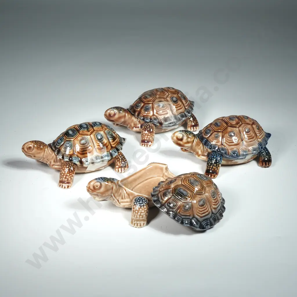 Vintage English Wade Pottery Turtle Trinket Box Group Image 1++