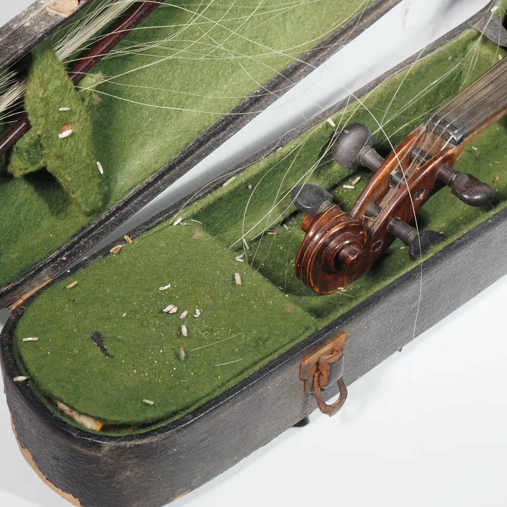 Violin in Case A/F Image 1++
