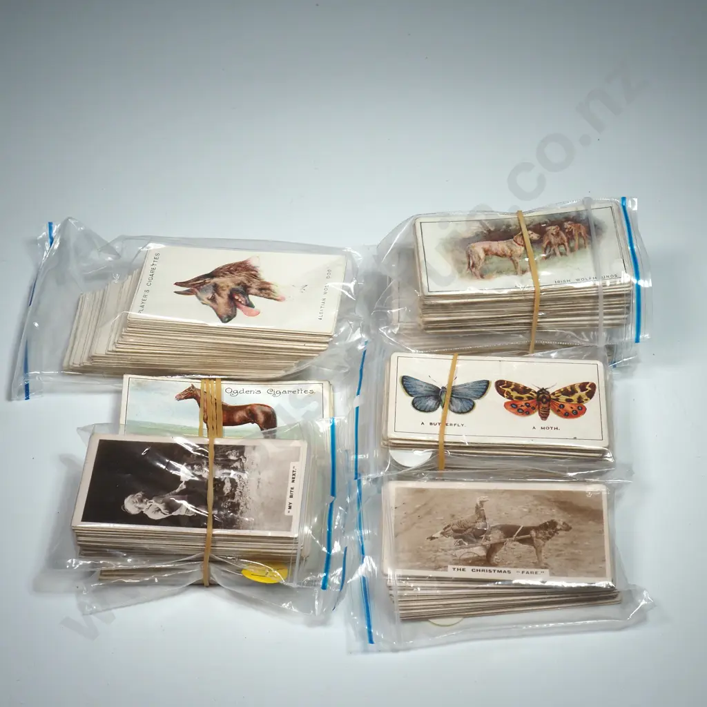 Assorted Animal Themed Cards Image 1++