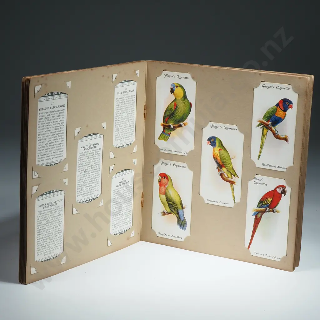 Aviary and Cage Birds Complete Album - 50 Cards, John Player & Sons Image 1++