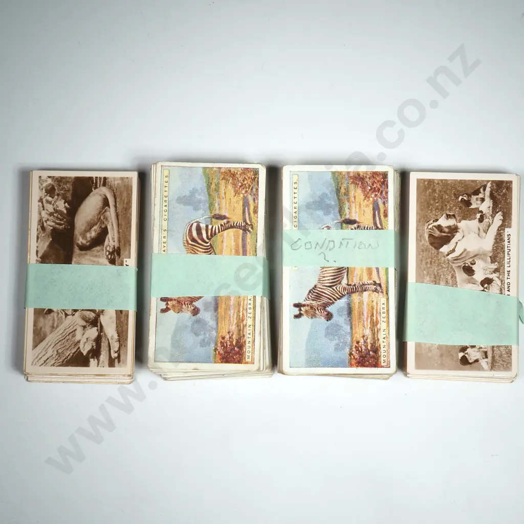 Natural History, Real Photographs Image 1++