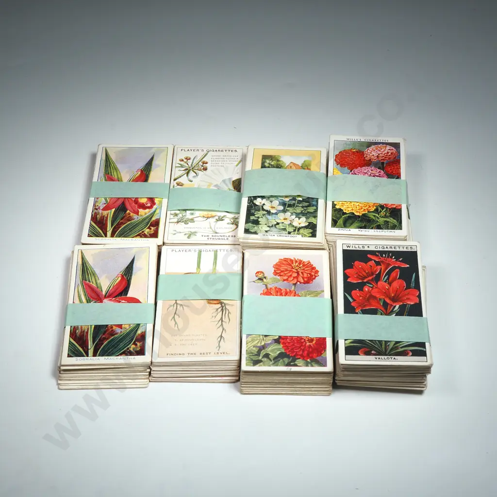 Assorted Series of Plant / Flower Related Cards Image 1++