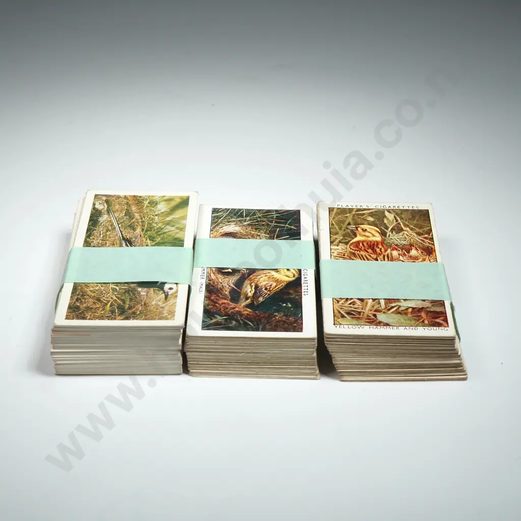 Wilds Birds, British Birds, Birds & Their Young Image 1++