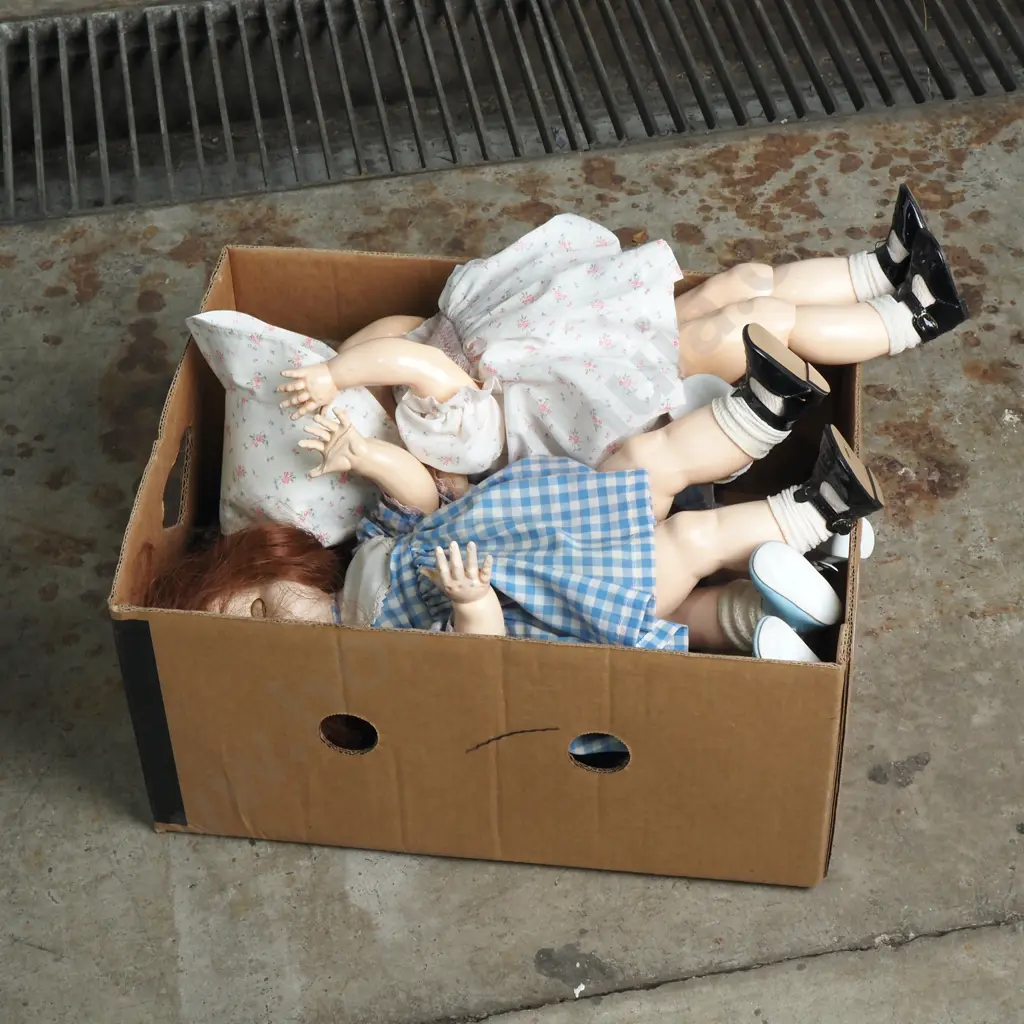 Large Box of Assorted Dolls Image 1++